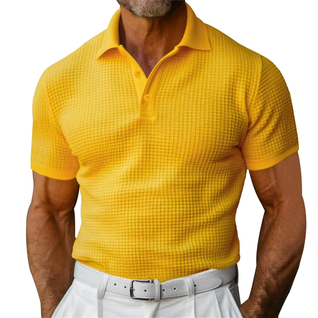 Klassiek poloshirt met wafelmotief voor heren - Dorian