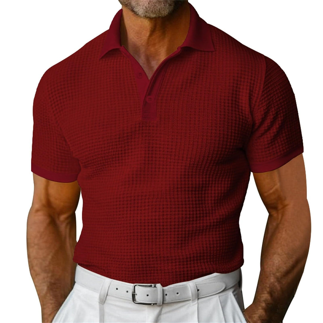 Klassiek poloshirt met wafelmotief voor heren - Dorian